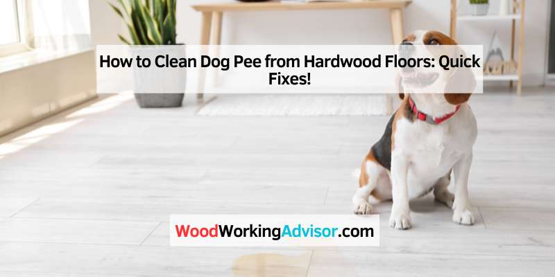 How to Clean Dog Pee from Hardwood Floors