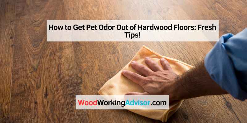 How to Get Pet Odor Out of Hardwood Floors