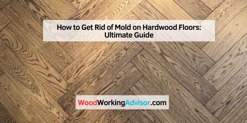 How to Get Rid of Mold on Hardwood Floors