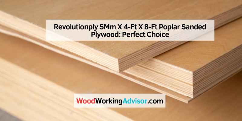 Revolutionply 5Mm X 4-Ft X 8-Ft Poplar Sanded Plywood