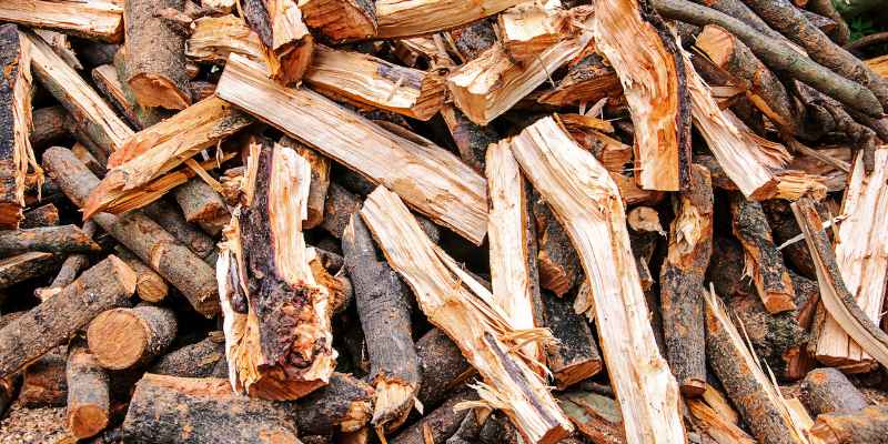 Washington State Firewood Cutting Permit