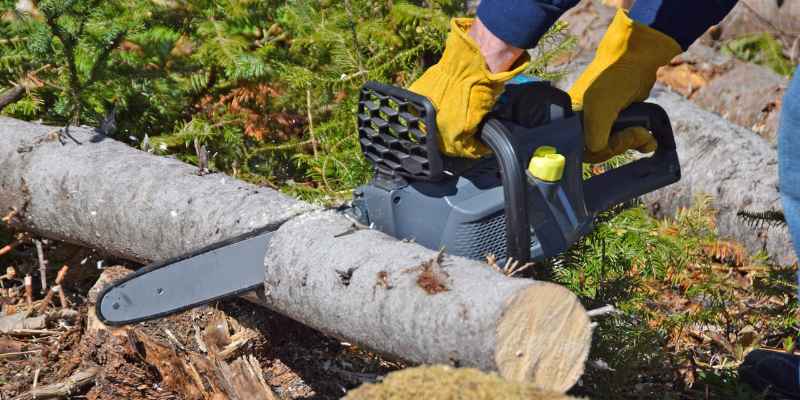 What are the Best Electric Chainsaws for Efficient Cutting