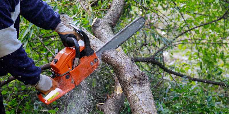What was the Original Use of a Chainsaw for