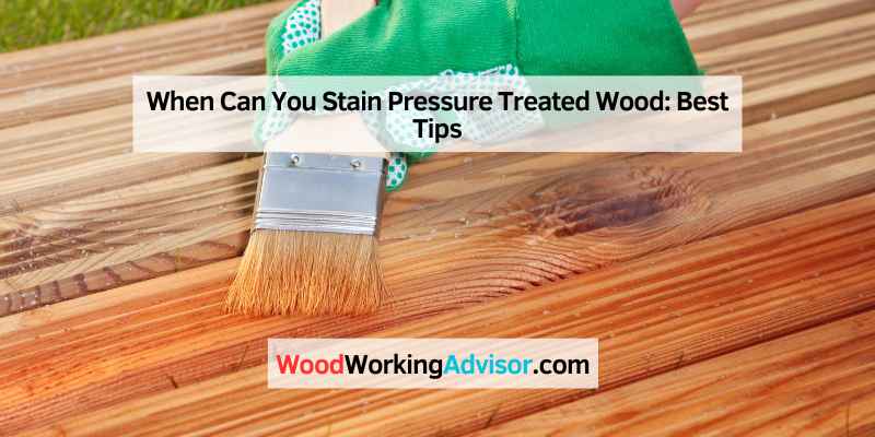 When Can You Stain Pressure Treated Wood