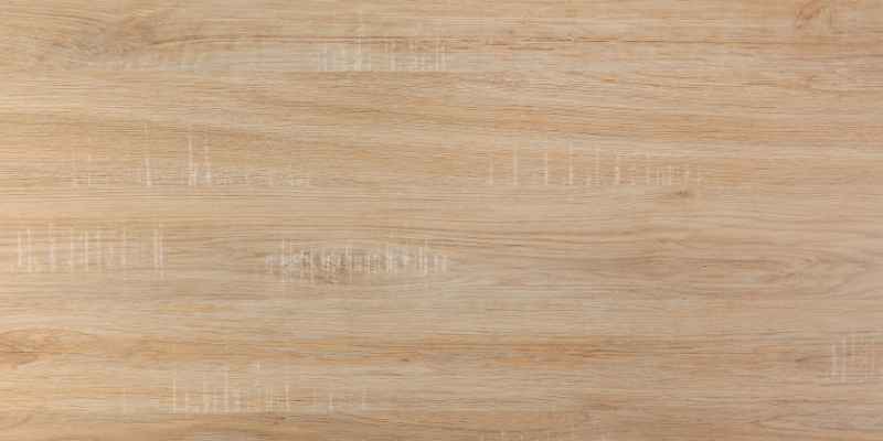 Where to Buy Birch Wood