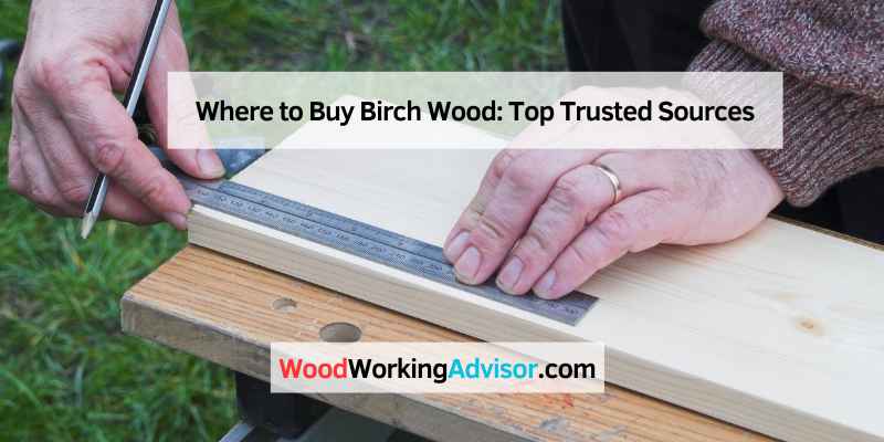 Where to Buy Birch Wood