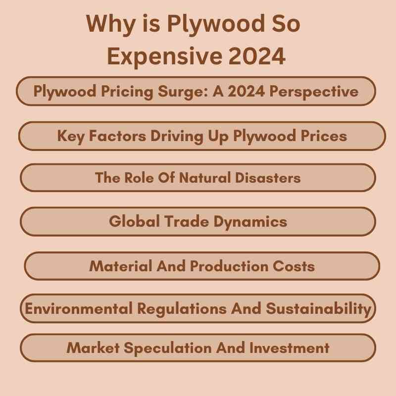 Why is Plywood So Expensive 2024