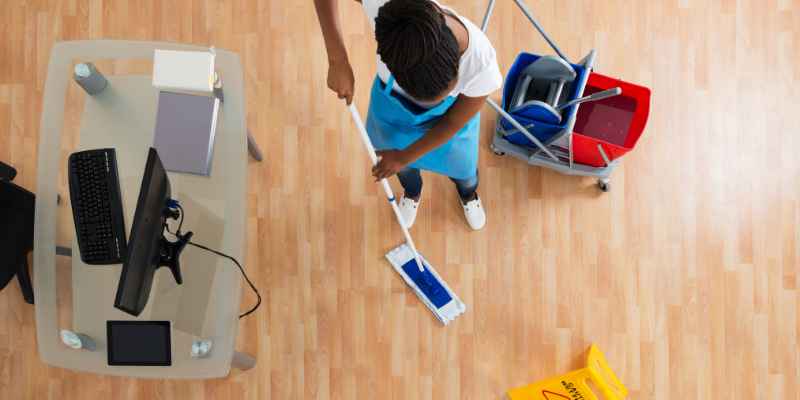 Aunt Fannie's Hardwood Floor Cleaner