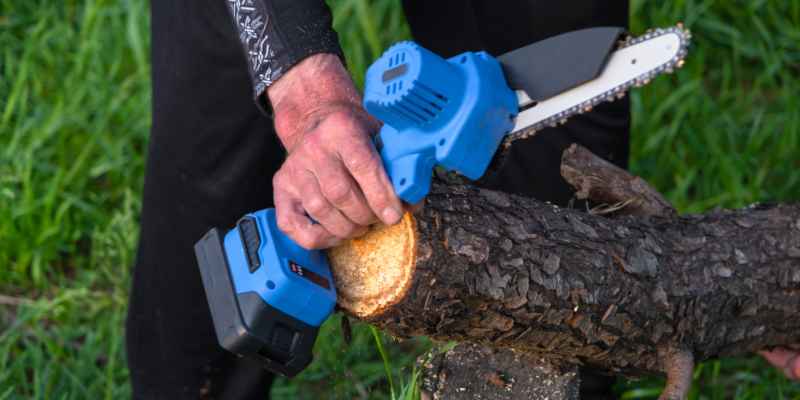 Battery Hand Saw for Cutting Branches