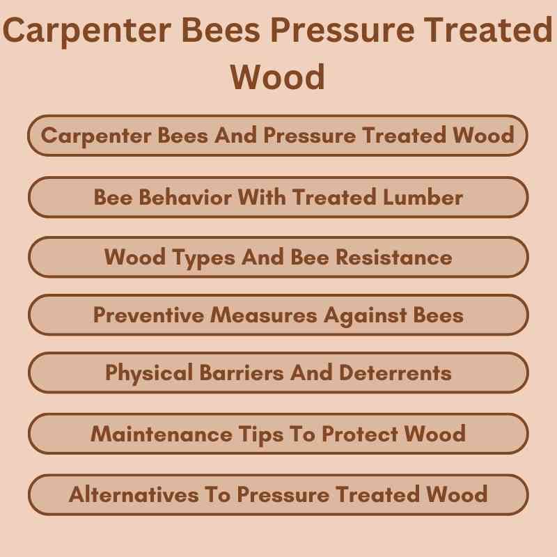 Carpenter Bees Pressure Treated Wood