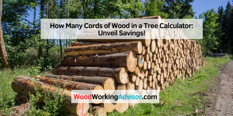 How Many Cords of Wood in a Tree Calculator (3)