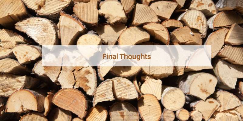Final Thoughts