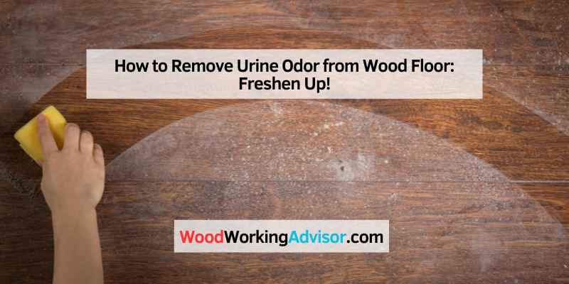 How to Remove Urine Odor from Wood Floor