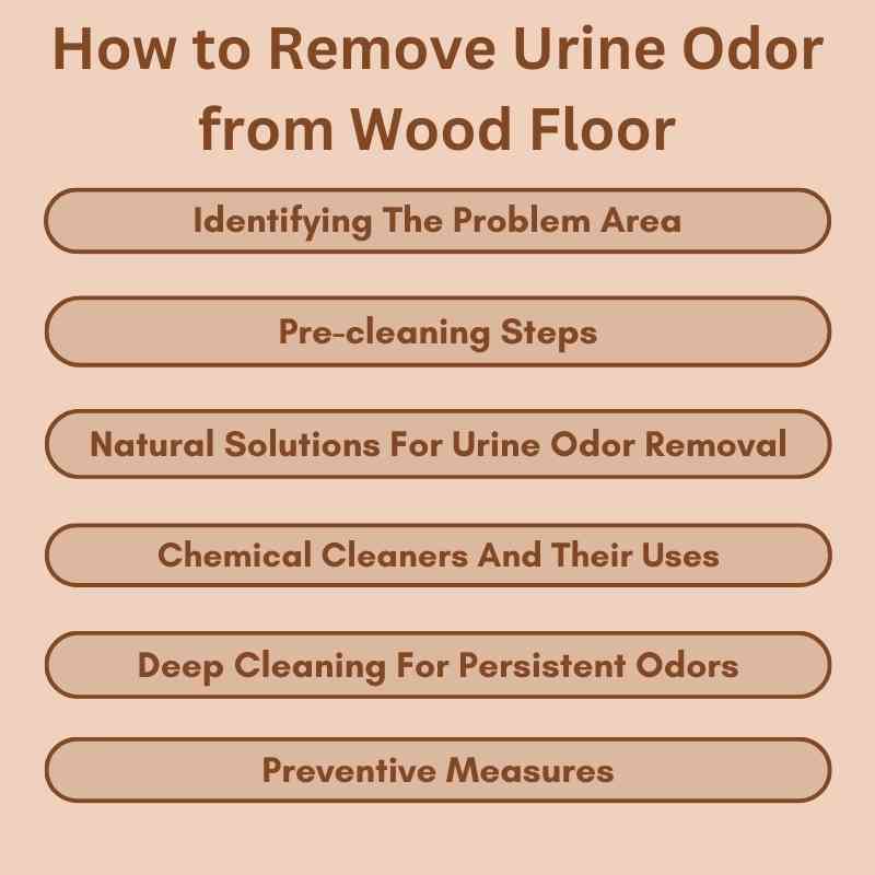 How to Remove Urine Odor from Wood Floor