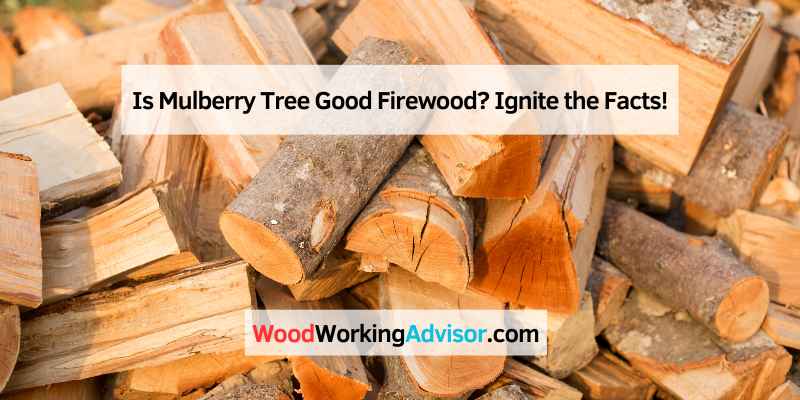 Is Mulberry Tree Good Firewood