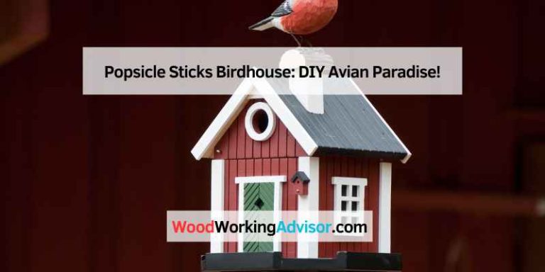 Popsicle Sticks Birdhouse: DIY Avian Paradise! – Woodworking Advisor