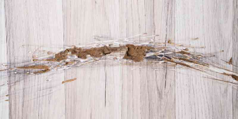 Scratch Remover for Laminate Floors