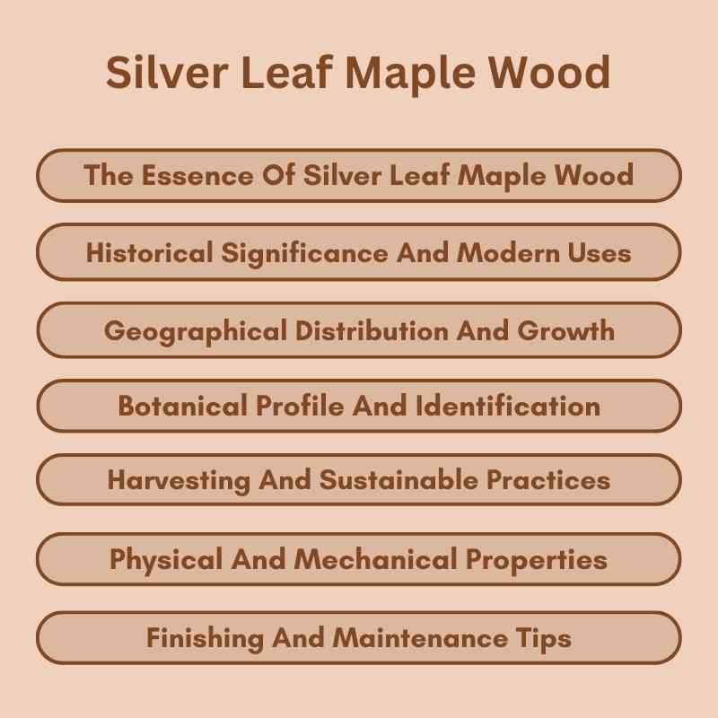 Silver Leaf Maple Wood