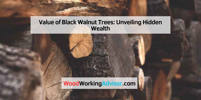 Value of Black Walnut Trees