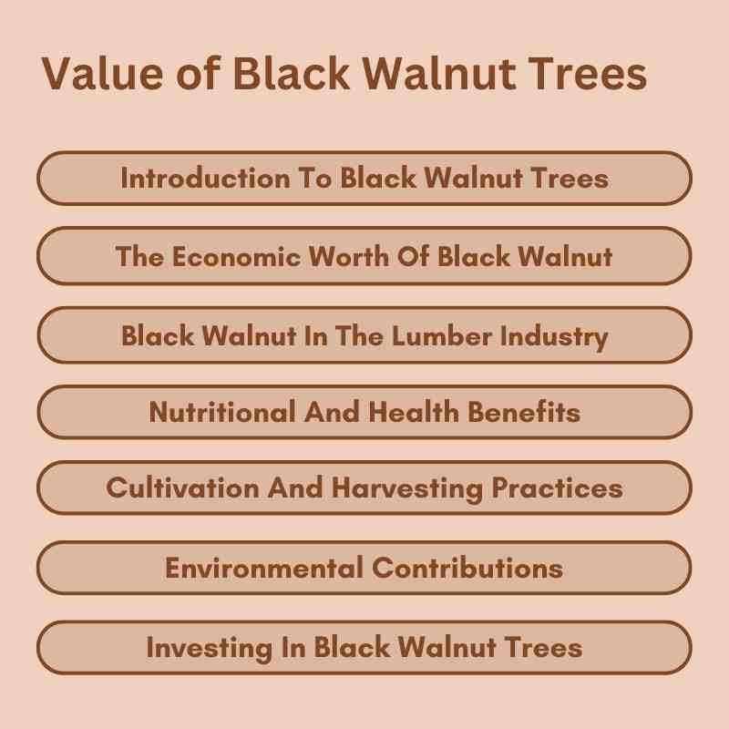 Value of Black Walnut Trees