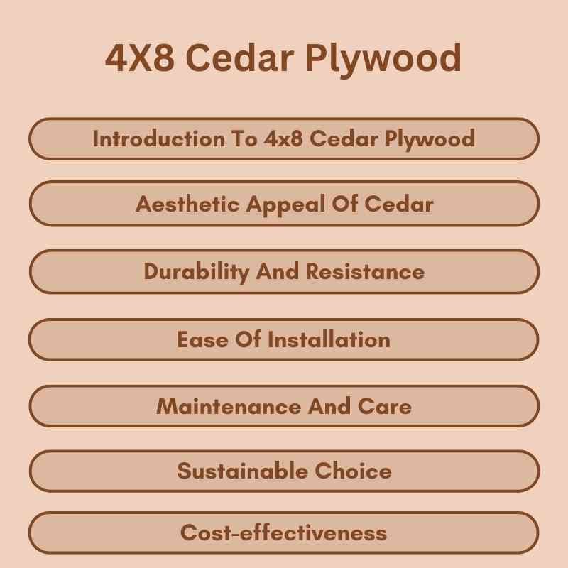 4X8 Cedar Plywood