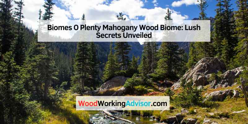 Biomes O Plenty Mahogany Wood Biome