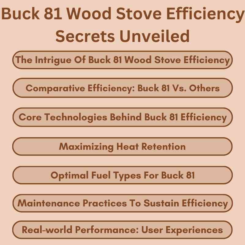 Buck 81 Wood Stove Efficiency Secrets Unveiled