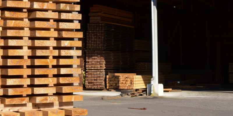 Cedar Wood Market Trends