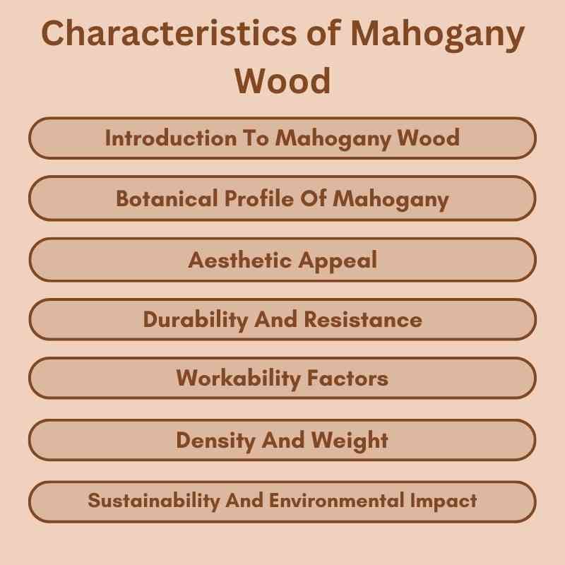 Characteristics of Mahogany Wood