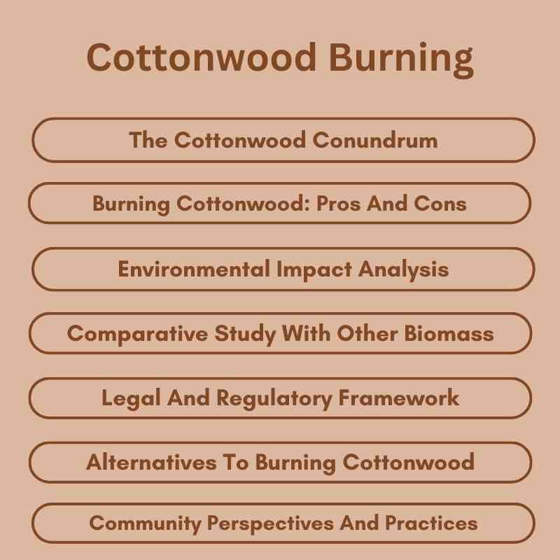 Cottonwood Burning