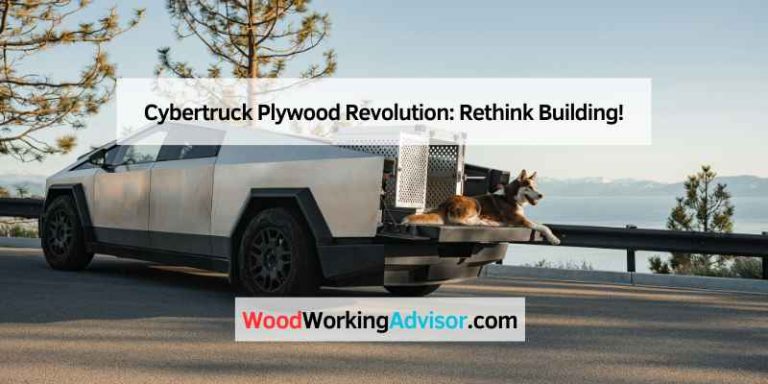Cybertruck Plywood Revolution