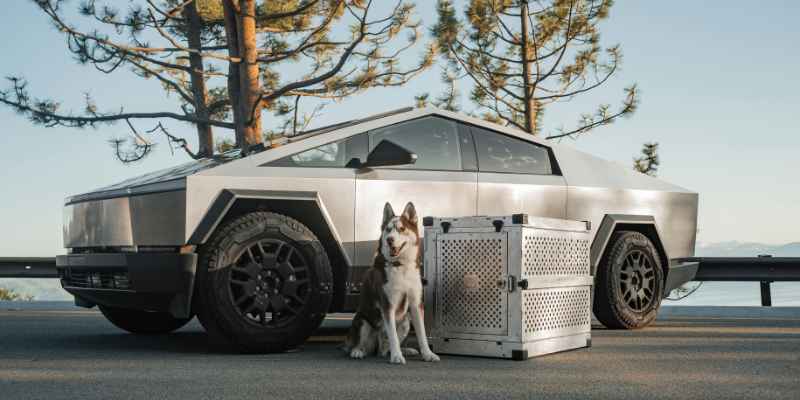 Cybertruck Plywood Revolution