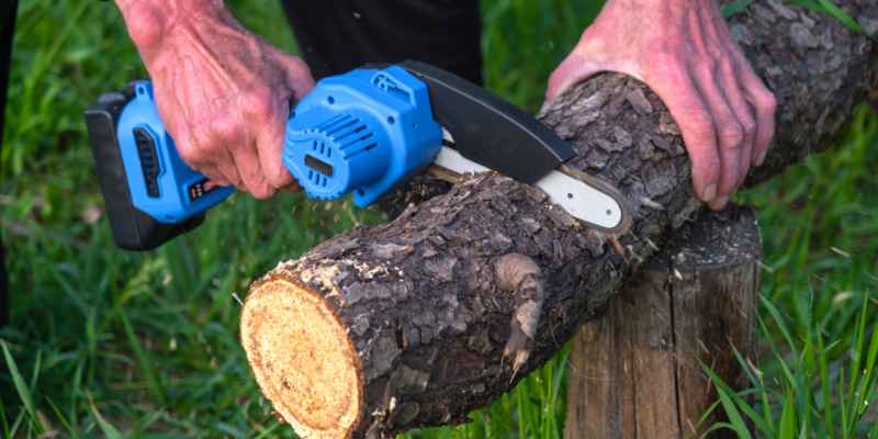 Electric Hand Saw Essentials