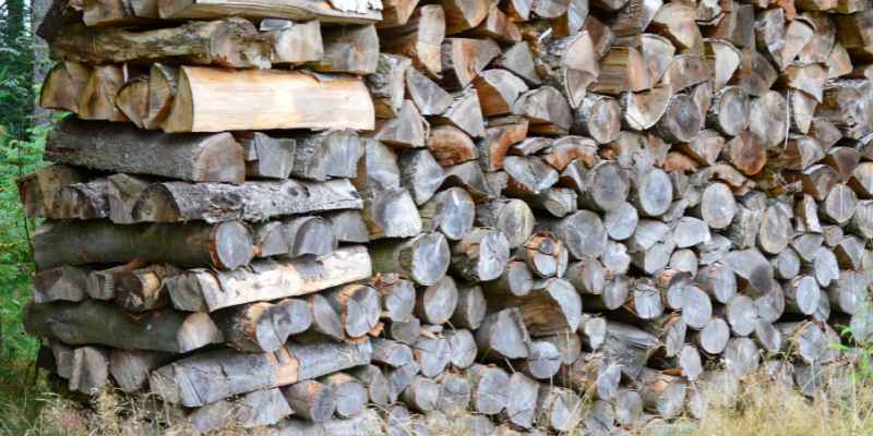 Firewood Riverside: Your Ultimate Guide to Quality Wood