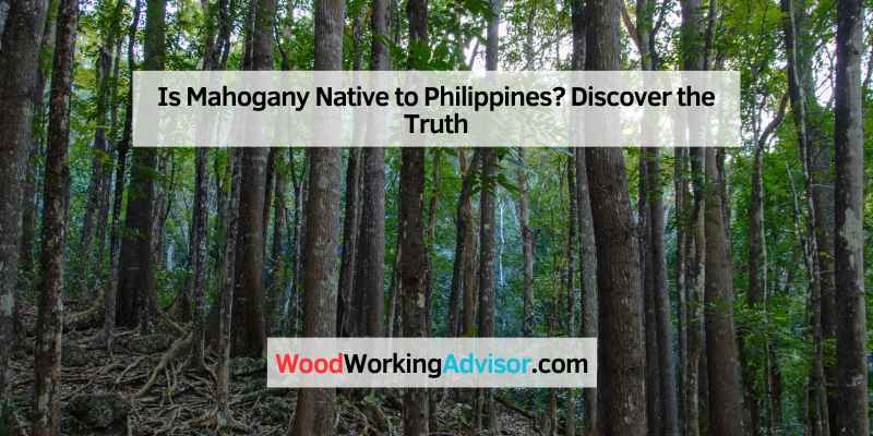 Is Mahogany Native to Philippines