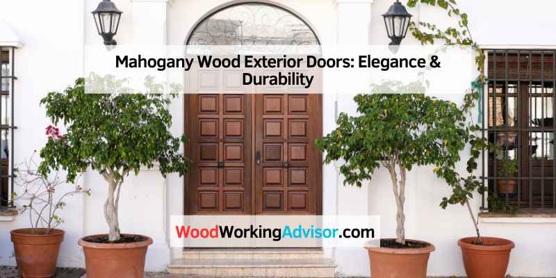 Mahogany Wood Exterior Doors