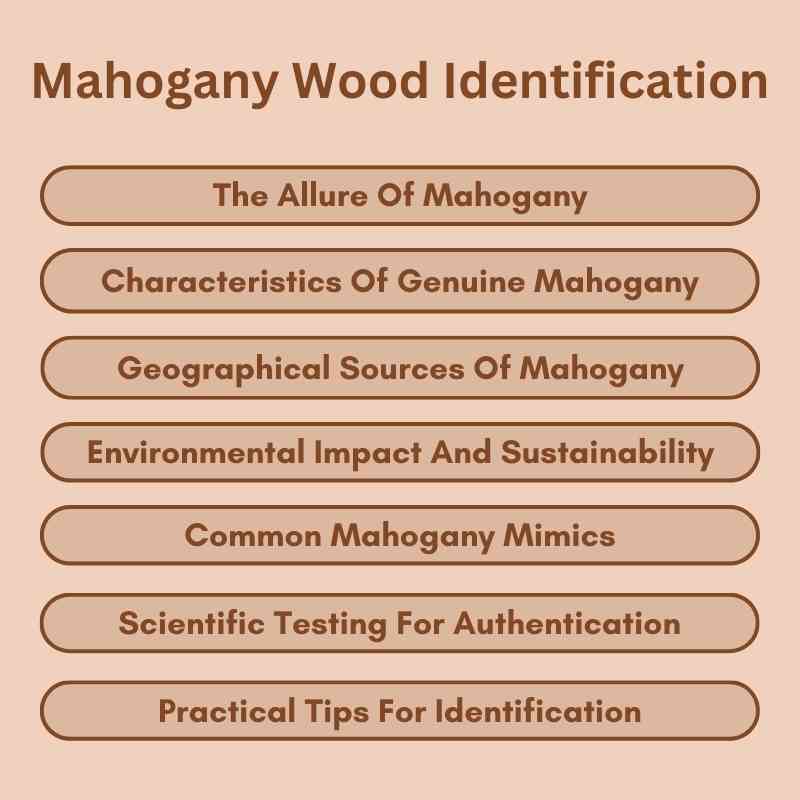 Mahogany Wood Identification