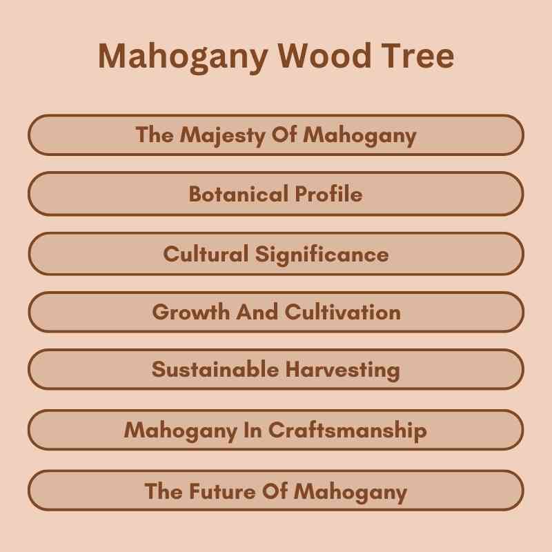 Mahogany Wood Tree