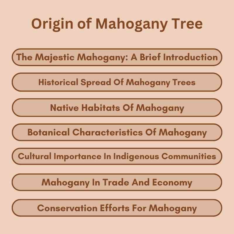 Origin of Mahogany Tree