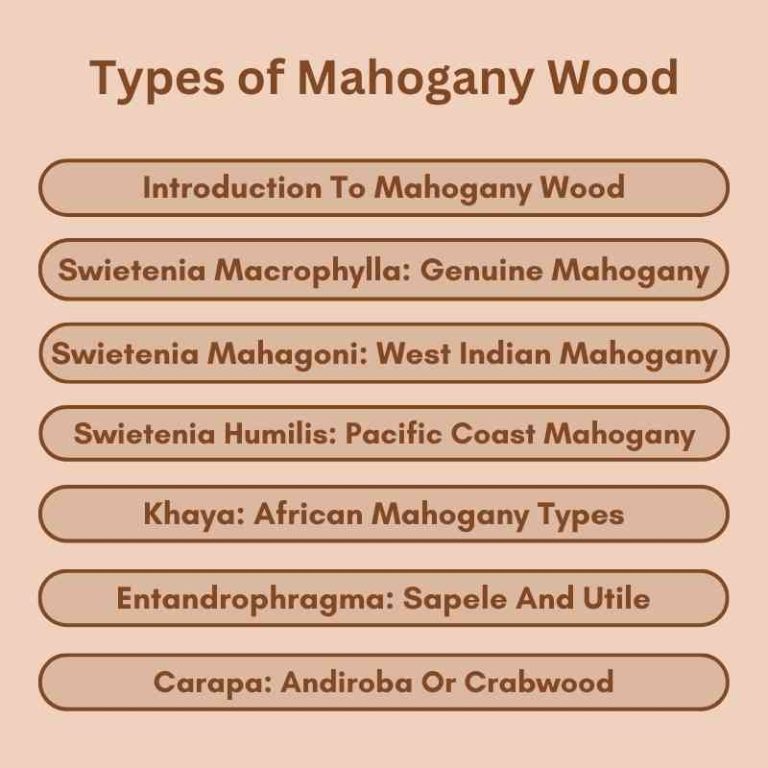 Types of Mahogany Wood: Discover the Best Varieties! – Woodworking Advisor