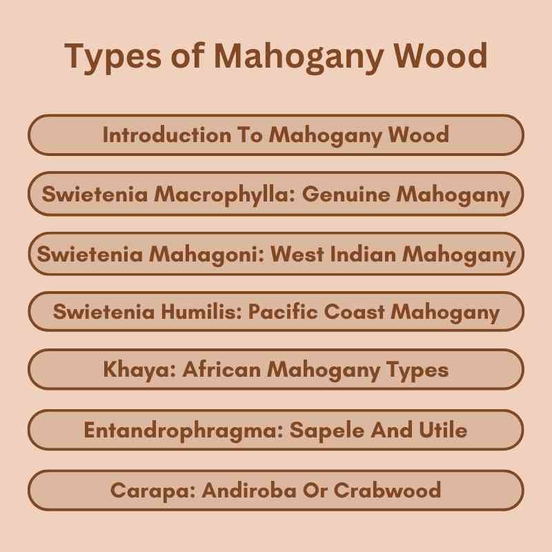 Types of Mahogany Wood