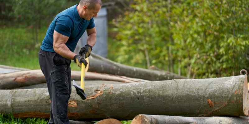 Wood Cutting Wedge Essentials