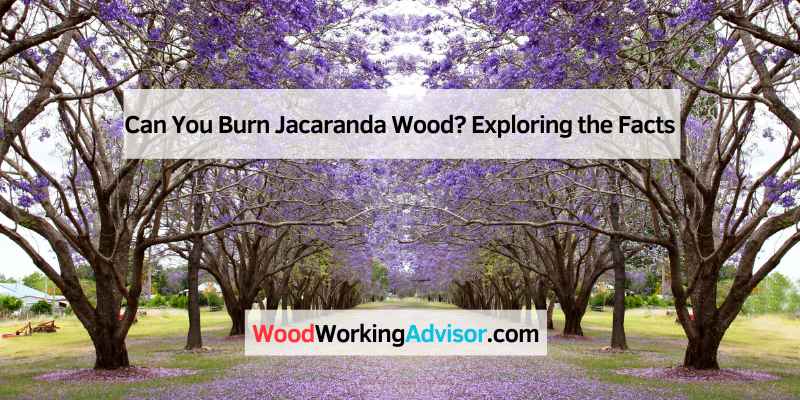 Can You Burn Jacaranda Wood