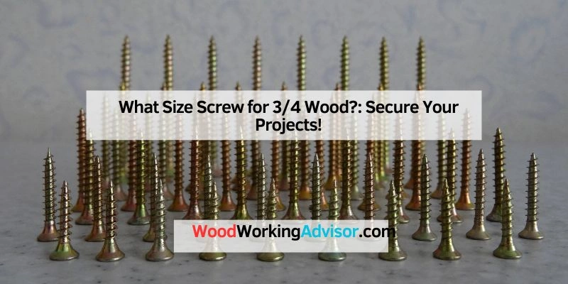 What Size Screw for 3/4 Wood