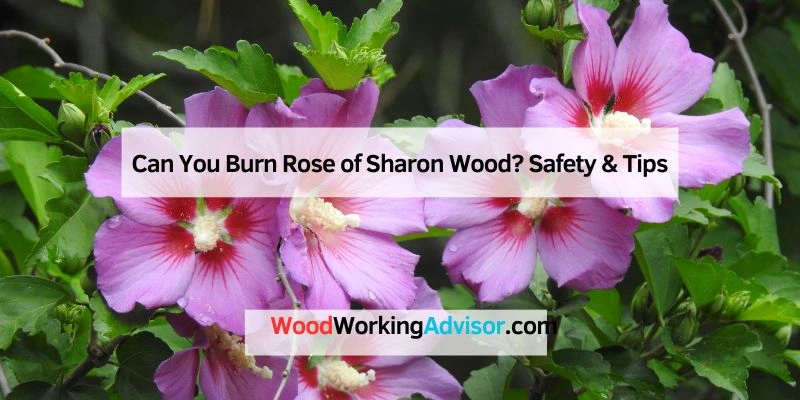 Can You Burn Rose of Sharon Wood