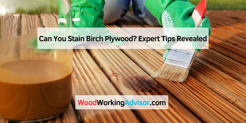 Can You Stain Birch Plywood