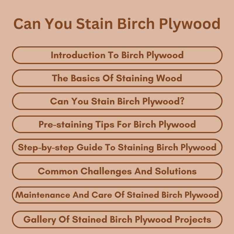 Can You Stain Birch Plywood