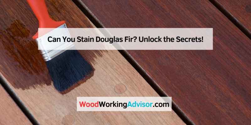 Can You Stain Douglas Fir