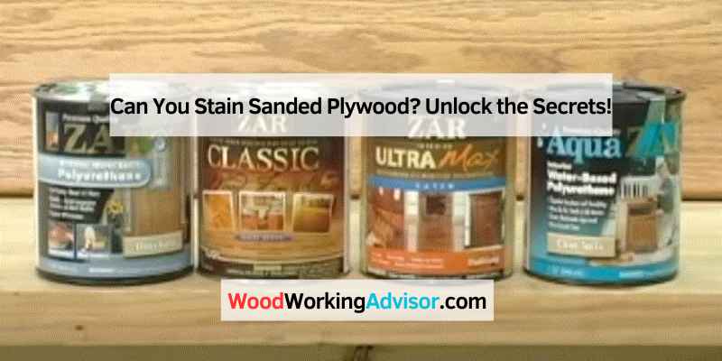 Can You Stain Sanded Plywood