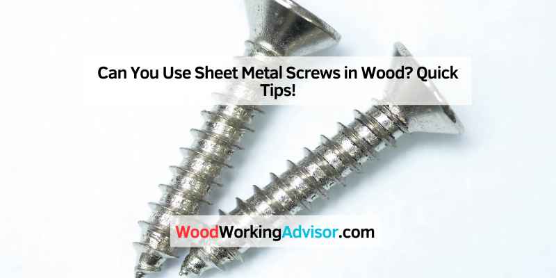 Can You Use Sheet Metal Screws in Wood